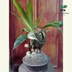 photo_2022-09-25_19-56-59