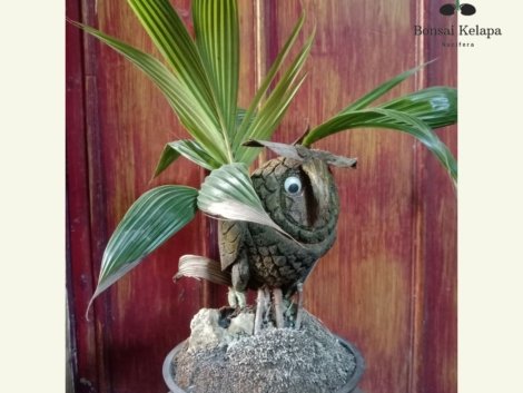 photo_2022-09-25_19-56-59