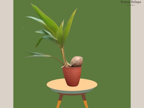 photo_2023-11-13_07-34-22