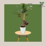 photo_2023-11-13_07-34-41