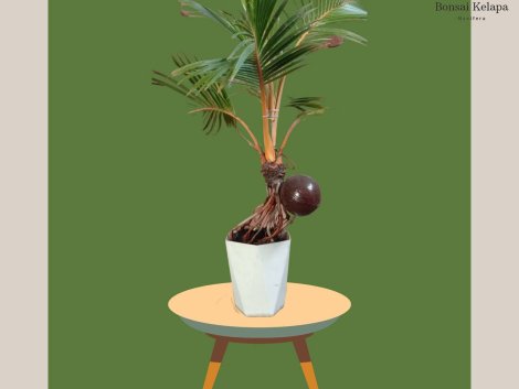 photo_2023-11-13_07-34-41