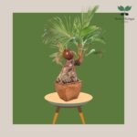 photo_2023-11-13_07-34-54