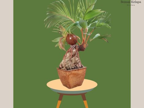 photo_2023-11-13_07-34-54