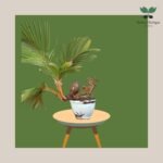 photo_2023-11-13_07-34-57