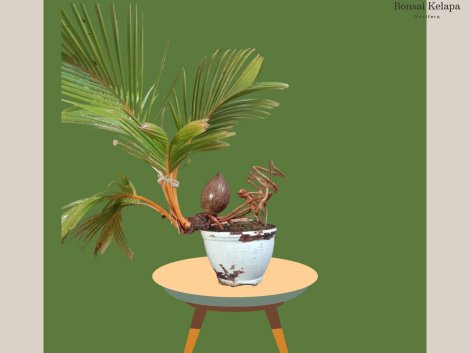 photo_2023-11-13_07-34-57