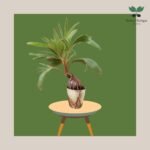 photo_2023-11-13_07-34-59