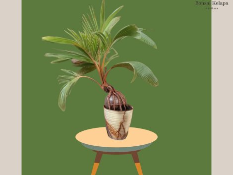 photo_2023-11-13_07-34-59