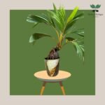 photo_2023-11-13_07-35-01