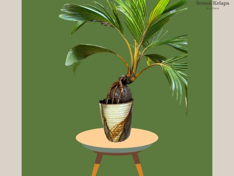 photo_2023-11-13_07-35-01