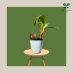 photo_2023-11-13_07-35-04