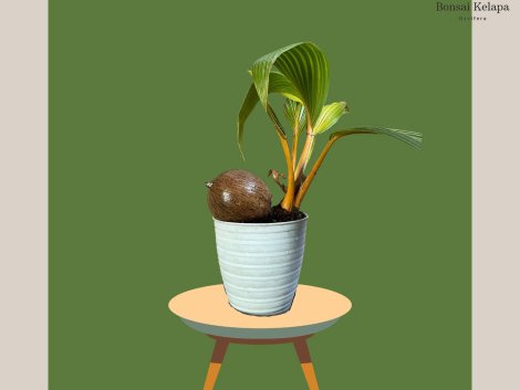 photo_2023-11-13_07-35-04