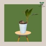 photo_2023-11-13_07-35-07