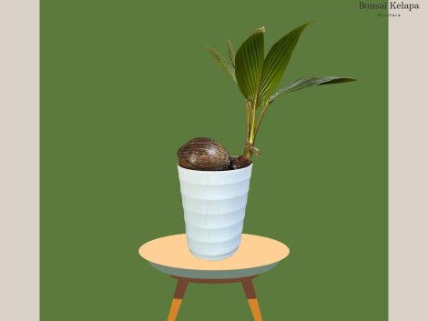 photo_2023-11-13_07-35-07