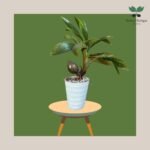 photo_2023-11-13_07-35-09