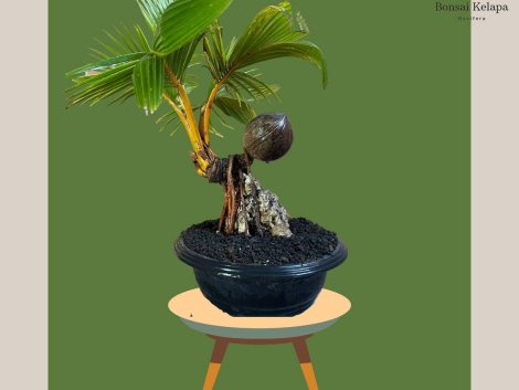 photo_2023-11-13_07-35-11