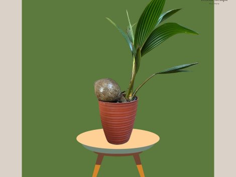 photo_2023-11-13_07-35-13