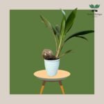 photo_2023-11-13_07-35-16