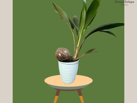 photo_2023-11-13_07-35-16