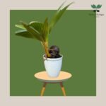 photo_2023-11-13_07-35-18