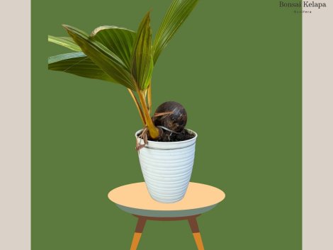 photo_2023-11-13_07-35-18