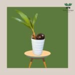 photo_2023-11-13_07-35-21