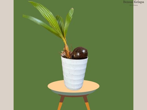 photo_2023-11-13_07-35-21