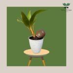 photo_2023-11-13_07-35-23