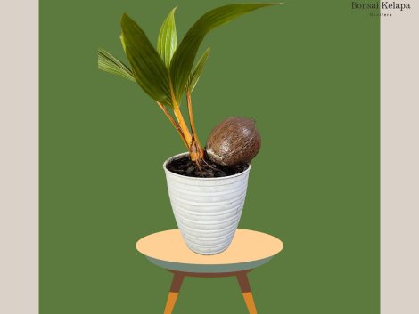 photo_2023-11-13_07-35-23